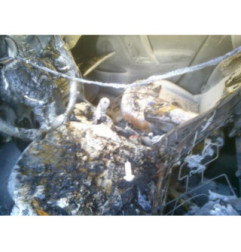 Pare choc arriere CITROEN C3 2 Photo n°8