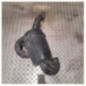 Boite a air CITROEN JUMPER 3