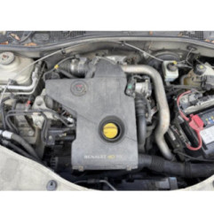 Porte arriere gauche DACIA DUSTER 1 Photo n°14