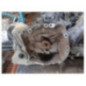 Boite de vitesses RENAULT CLIO 3