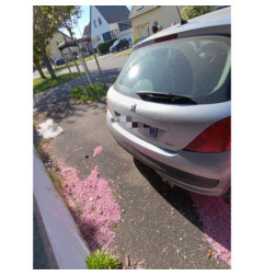 Vitre avant gauche PEUGEOT 207 Photo n°13