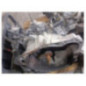 Boite de vitesses CITROEN DS5