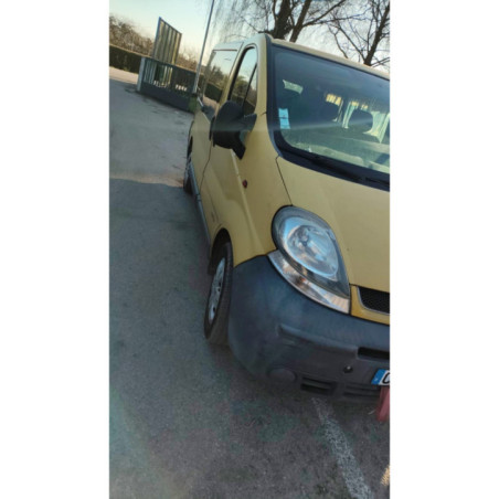 Porte de coffre gauche RENAULT TRAFIC 2