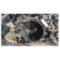 Boite de vitesses PEUGEOT 208 1