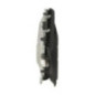 Ecran GPS BMW SERIE 7 F01