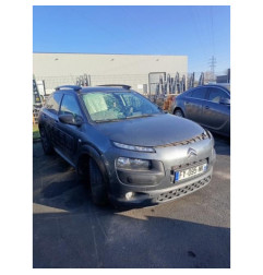 Galerie de toit CITROEN C4 CACTUS Photo n°10