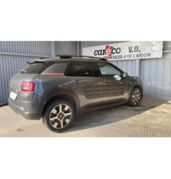 Galerie de toit CITROEN C4 CACTUS Photo n°19