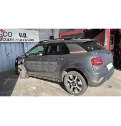 Galerie de toit CITROEN C4 CACTUS Photo n°20