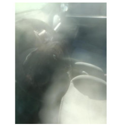 Alternateur RENAULT CLIO 2 Photo n°4