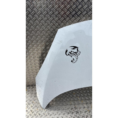 Capot RENAULT SCENIC 3