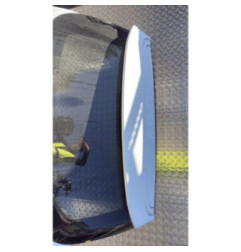 Malle/Hayon arriere HYUNDAI SANTA FE 3 Photo n°5