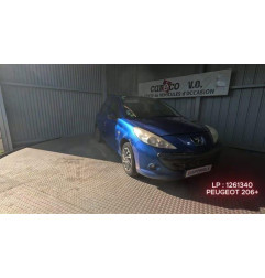 Mastervac PEUGEOT 206+ Photo n°1