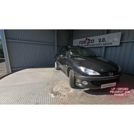 Vitre arriere droit PEUGEOT 206 Photo n°1