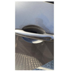 Porte arriere gauche RENAULT SCENIC 3 Photo n°4