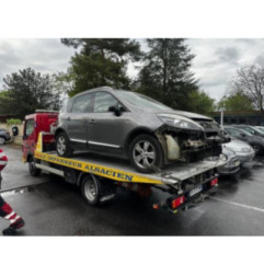 Porte arriere gauche RENAULT SCENIC 3 Photo n°5