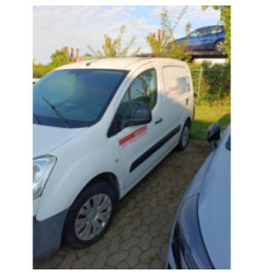 Porte avant gauche CITROEN BERLINGO 2 Photo n°9