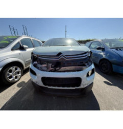 Porte arriere gauche CITROEN C3 3 Photo n°11