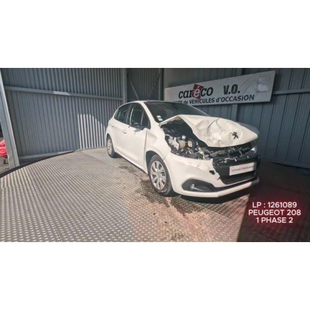 Porte avant gauche PEUGEOT 208 1 Photo n°1