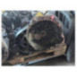 Boite de vitesses FORD FOCUS 2