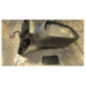 Retroviseur droit FORD FOCUS 2