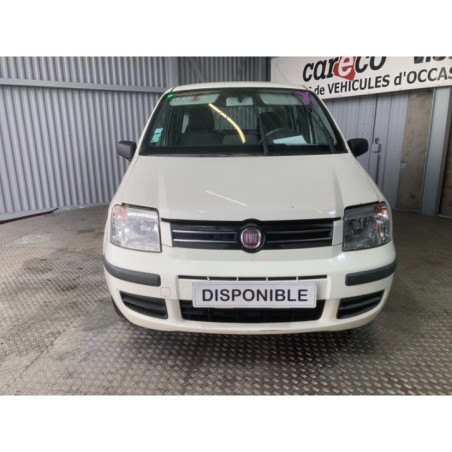 Panneau de porte avant gauche FIAT PANDA 2 Photo n°1