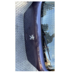 Malle/Hayon arriere PEUGEOT 307 Photo n°4