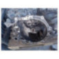 Boite de vitesses CITROEN C4 2