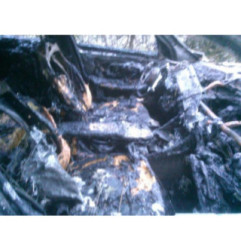 Feu arriere principal gauche (feux) BMW X1 U11 Photo n°5