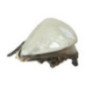 Optique avant principal droit (feux)(phare) OPEL ASTRA H