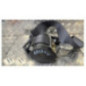 Ceinture avant droit RENAULT SCENIC 2