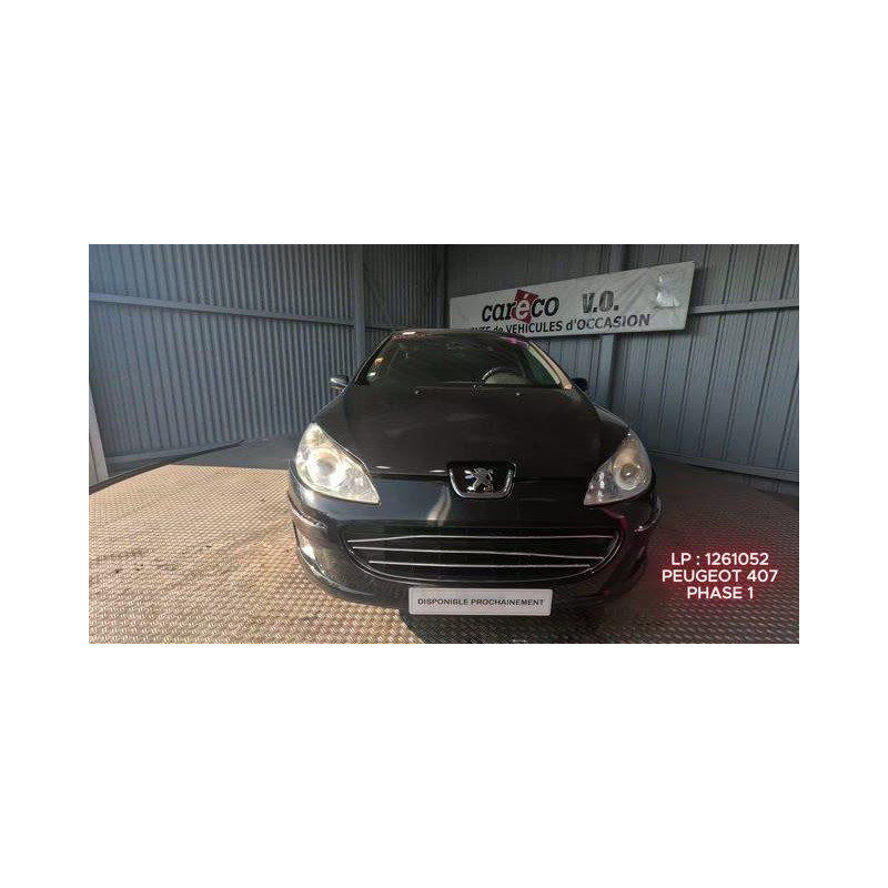Pompe de direction PEUGEOT 407