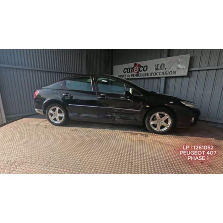 Pompe de direction PEUGEOT 407