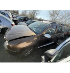 Porte arriere gauche DACIA DUSTER 1 Photo n°8