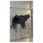 Moteur essuie glace arriere RENAULT CLIO 3