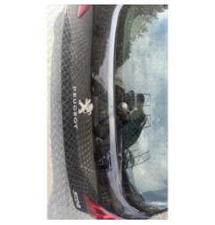 Malle/Hayon arriere PEUGEOT 3008 1 Photo n°5