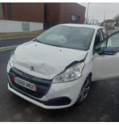 Porte arriere gauche PEUGEOT 208 1 Photo n°6