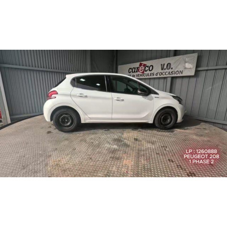 Mastervac PEUGEOT 208 1