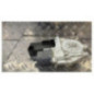Moteur leve vitre avant gauche PEUGEOT 407