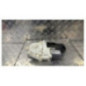 Moteur leve vitre avant droit PEUGEOT 407