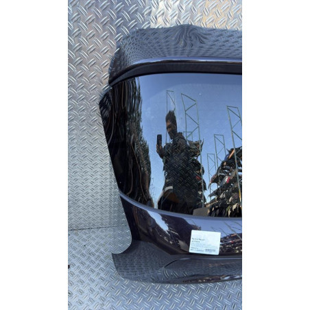 Malle/Hayon arriere NISSAN JUKE 1