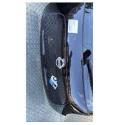 Malle/Hayon arriere NISSAN JUKE 1 Photo n°3