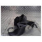 Ceinture avant droit CITROEN C3 1