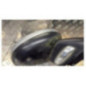 Retroviseur droit CITROEN C3 2