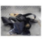Ceinture avant droit PEUGEOT 307