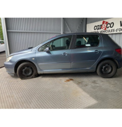Mastervac PEUGEOT 307 Photo n°3