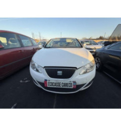 Porte avant gauche SEAT IBIZA 4 Photo n°9