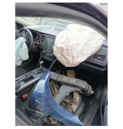 Custode arriere gauche RENAULT MEGANE 4 Photo n°16