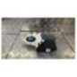 Moteur leve vitre arriere droit VOLKSWAGEN GOLF 6