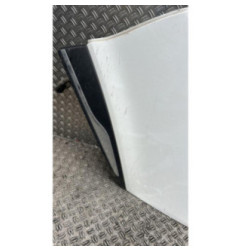 Porte arriere gauche RENAULT CLIO 4