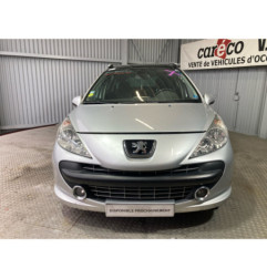 Mastervac PEUGEOT 207 Photo n°1